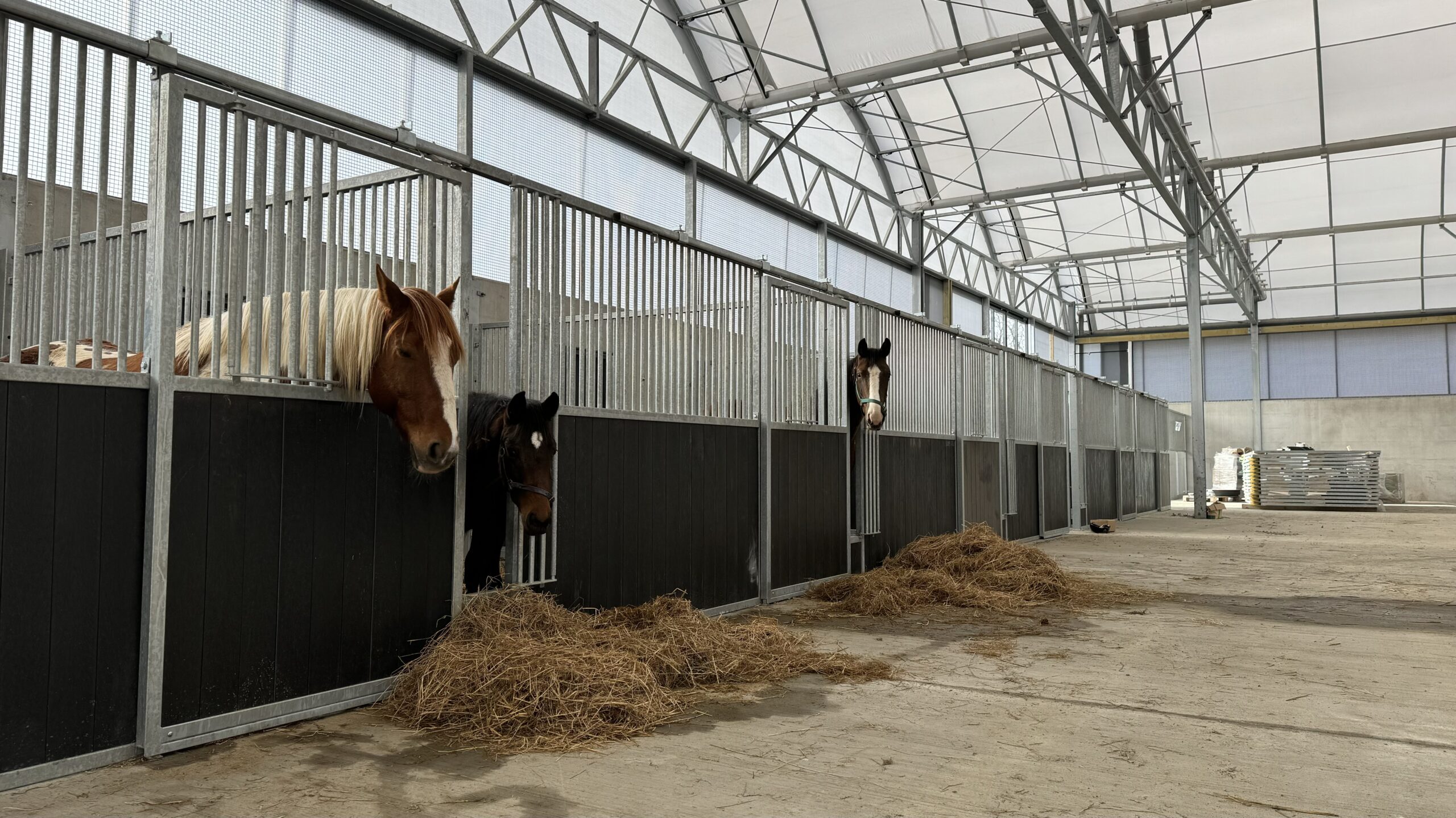 Horse Lounge®
